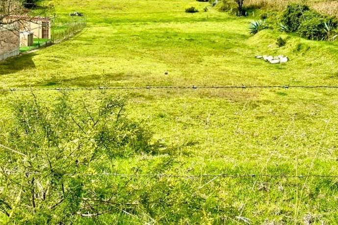 Vendo Terreno en Challuabamba, Azuay — imagen 6