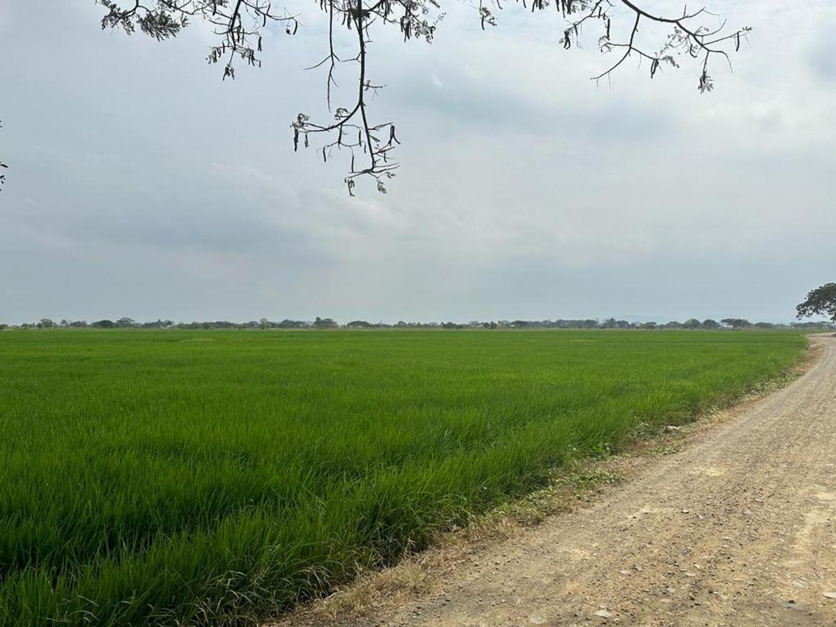 Se Vende Macrolote Vía C. Celeste Cerca Al Country m. Espinosa, Guayas — imagen 7