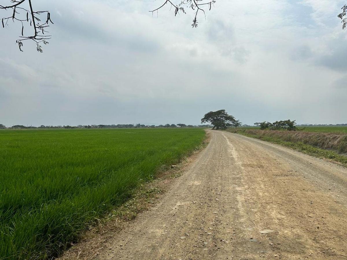 Se Vende Macrolote Vía C. Celeste Cerca Al Country m. Espinosa, Guayas — imagen 6