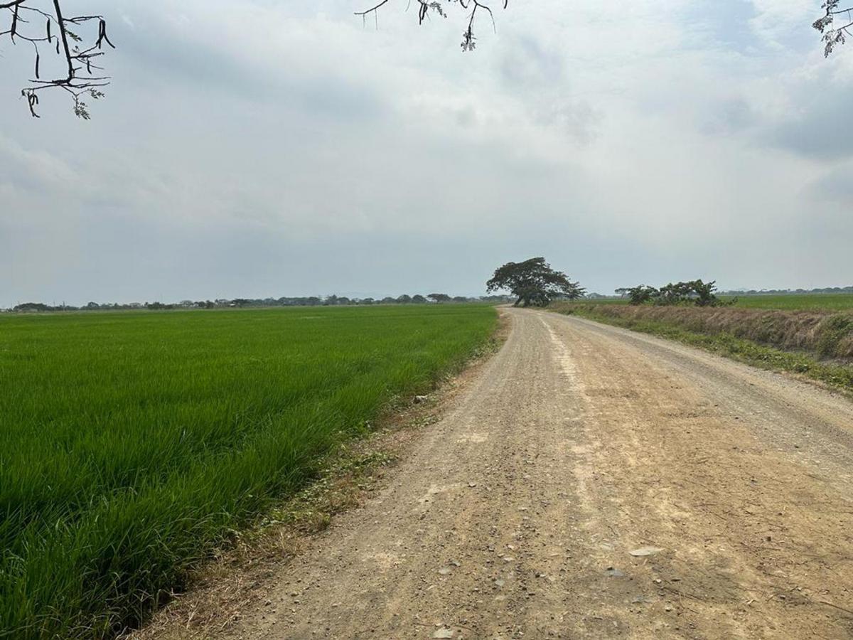 Se Vende Macrolote Vía C. Celeste Cerca Al Country m. Espinosa, Guayas — imagen 4