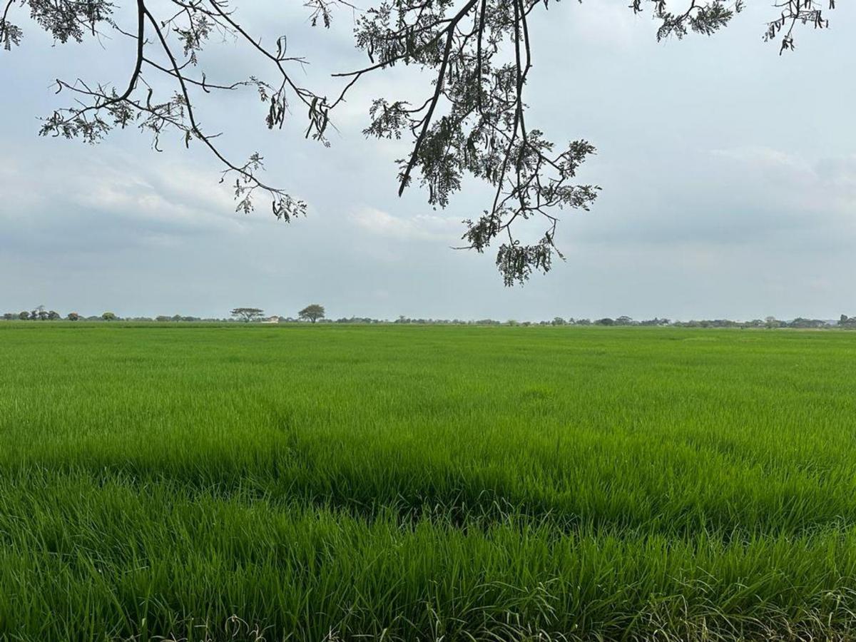 Se Vende Macrolote Vía C. Celeste Cerca Al Country m. Espinosa, Guayas — imagen 3