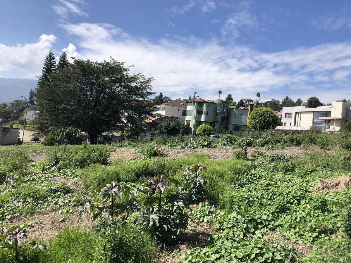 Terreno de Venta Dentro de La Urbanización Cumbres del Valle, Cumbayá — imagen 5