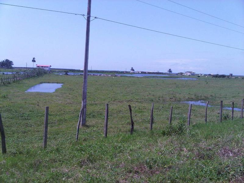 Espectacular Terreno de Venta en Cojimies, Manabí — imagen 4
