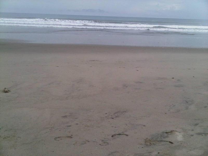 Espectacular Terreno de Venta en Cojimies, Manabí — imagen 3