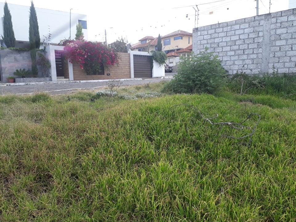 Lote de Terreno en La Victoria, Tungurahua — imagen 7