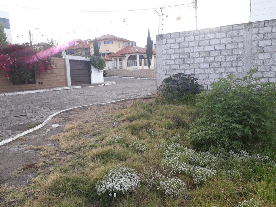 Lote de Terreno en La Victoria, Tungurahua — imagen 6
