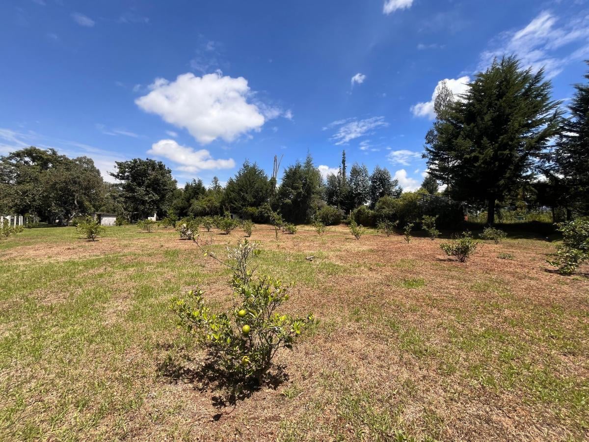 Terreno Sector Puembo (Colegio Reinvented) — imagen 5