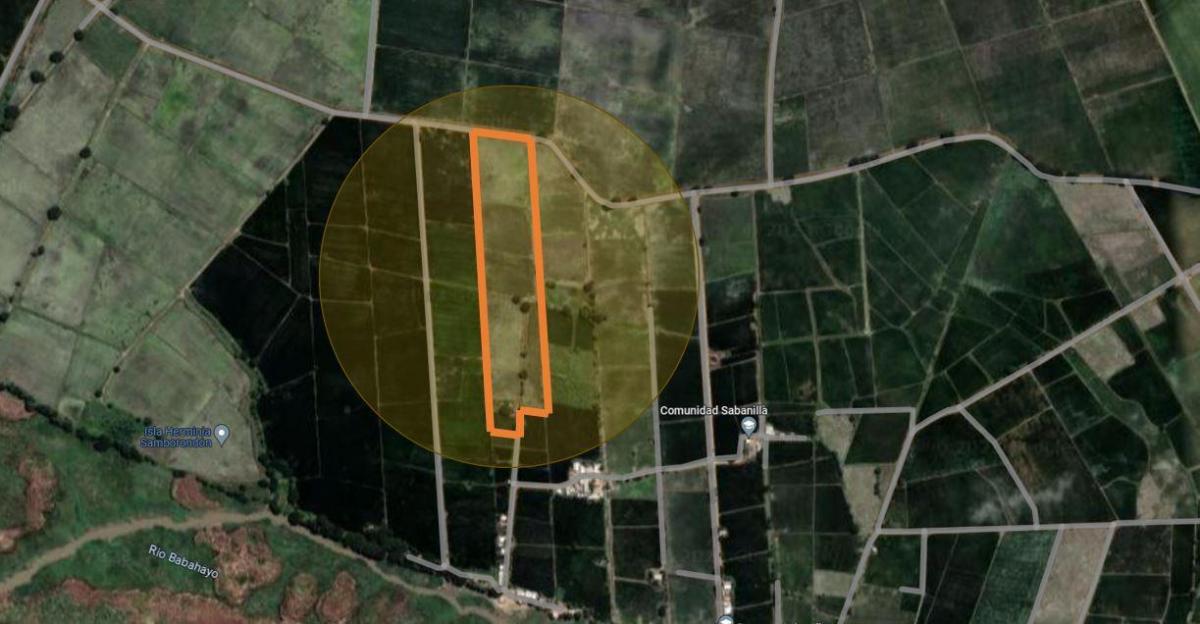 Venta Terreno 4.75 Has Nuevo Samborondon, Sector Sabanilla, Guayas — imagen 4