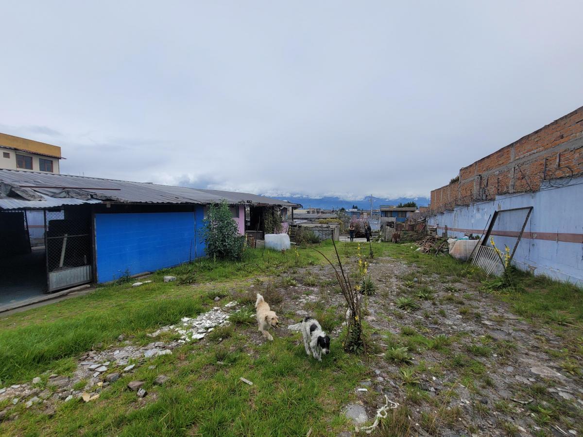 Terreno en Venta, con Casa de Cuidador Sector Calderón — imagen 7