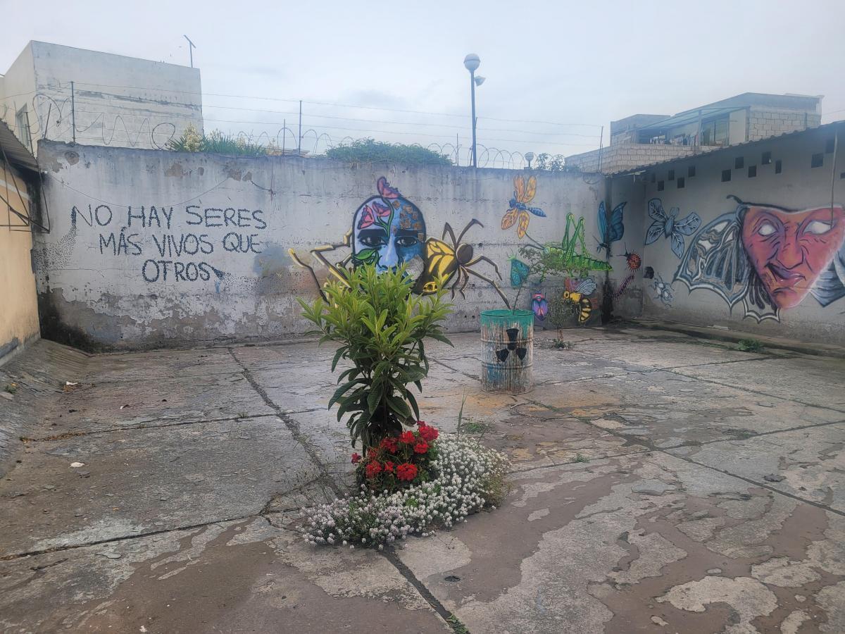 Terreno en Venta, con Casa de Cuidador Sector Calderón — imagen 4