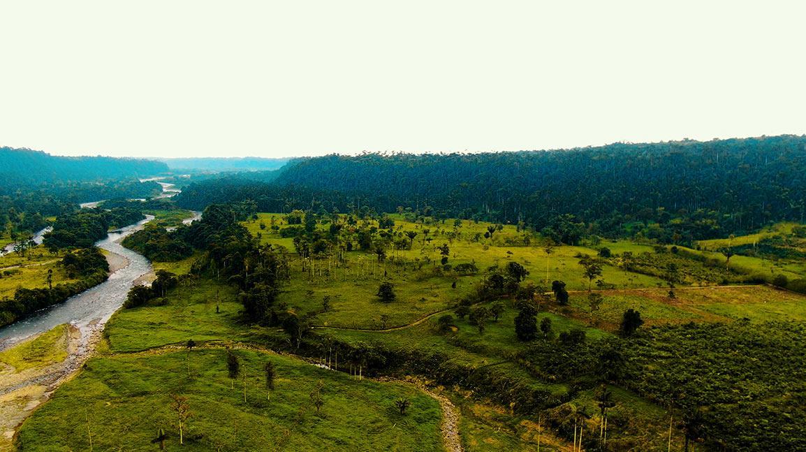 Hacienda 67ha Cerca Los Bancos - Sector La Florida — imagen 9
