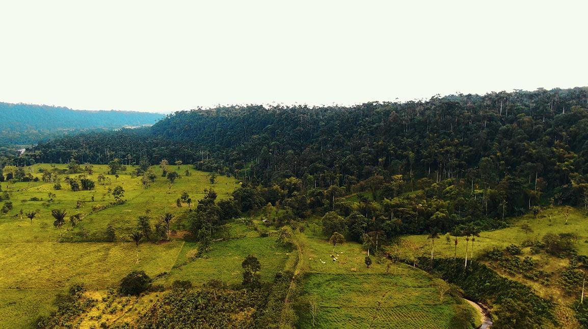 Hacienda 67ha Cerca Los Bancos - Sector La Florida — imagen 8
