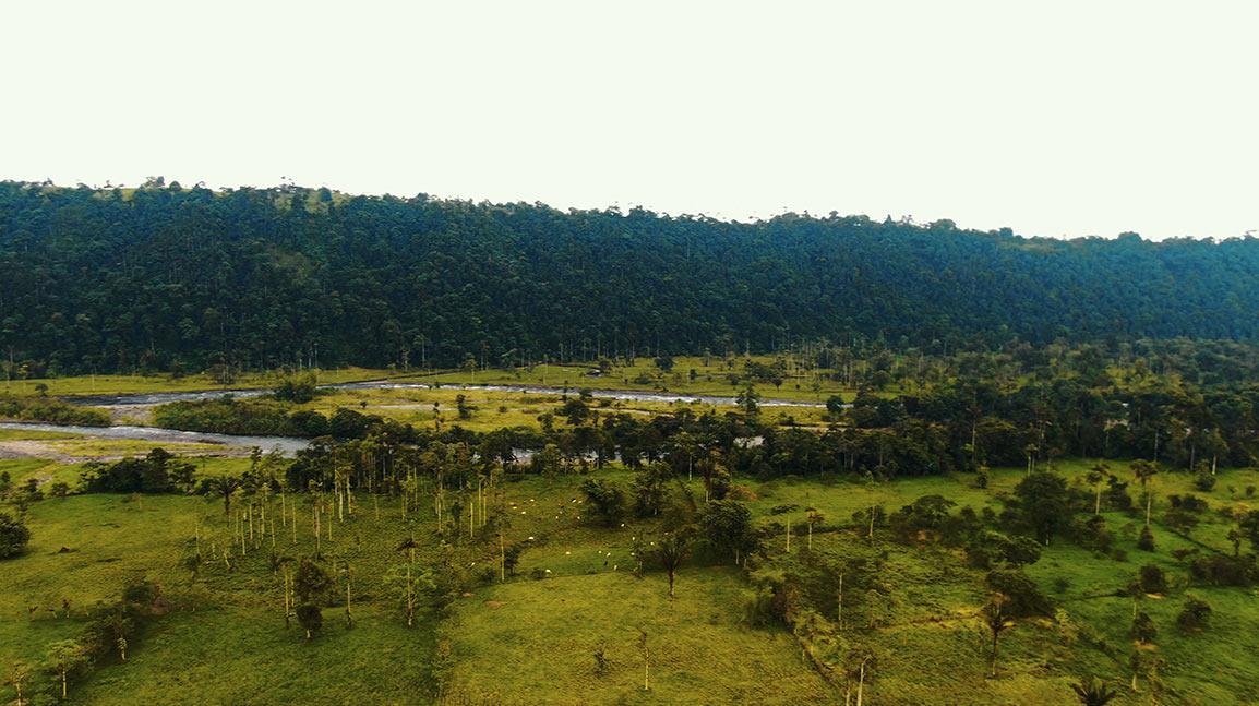 Hacienda 67ha Cerca Los Bancos - Sector La Florida — imagen 7