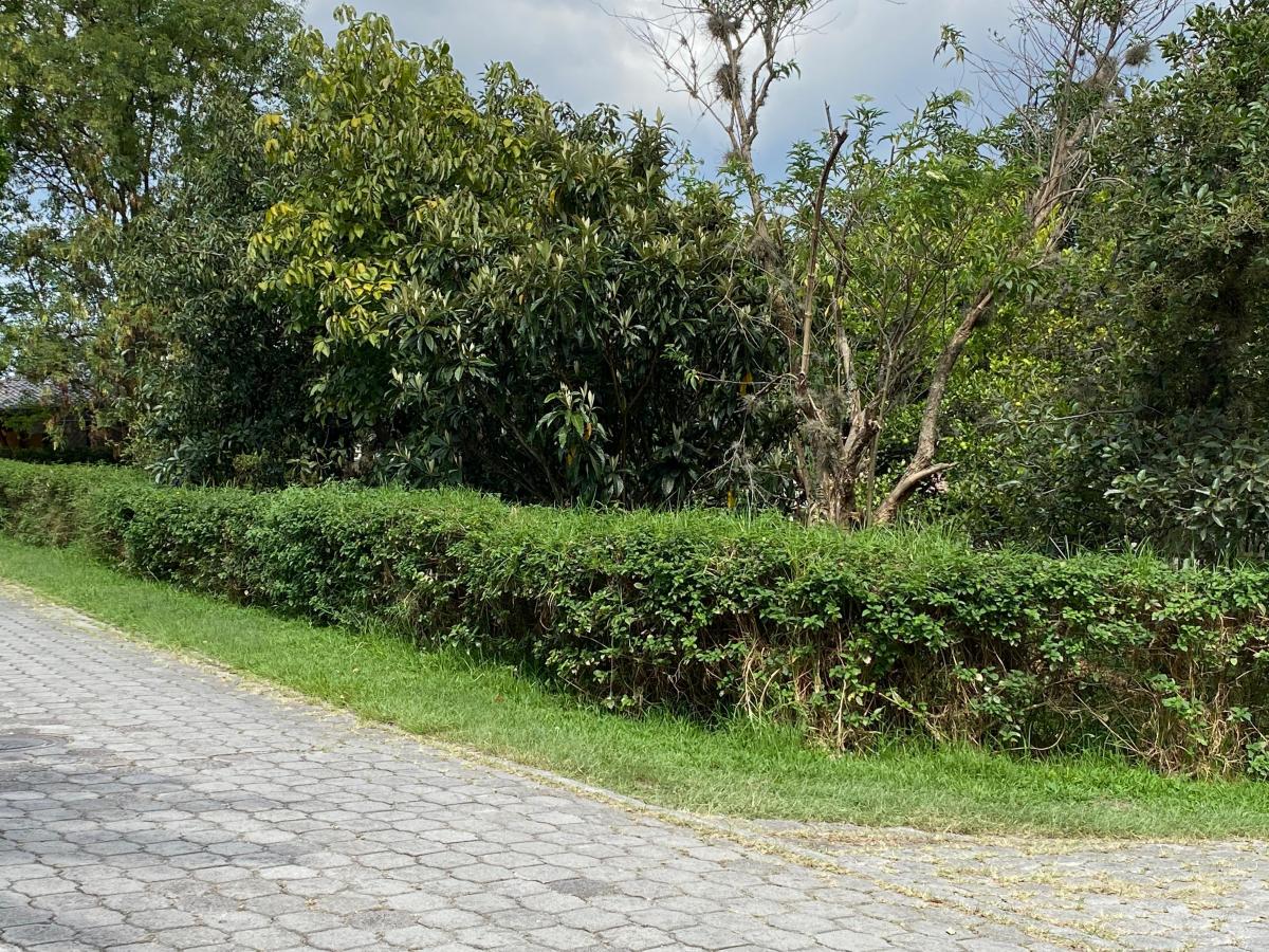Hermoso Terreno Venta Cumbayá — imagen 9