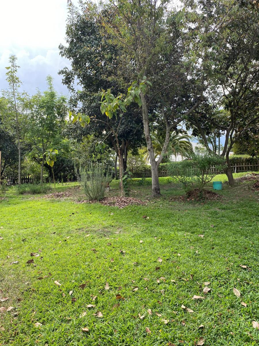 Hermoso Terreno Venta Cumbayá — imagen 6
