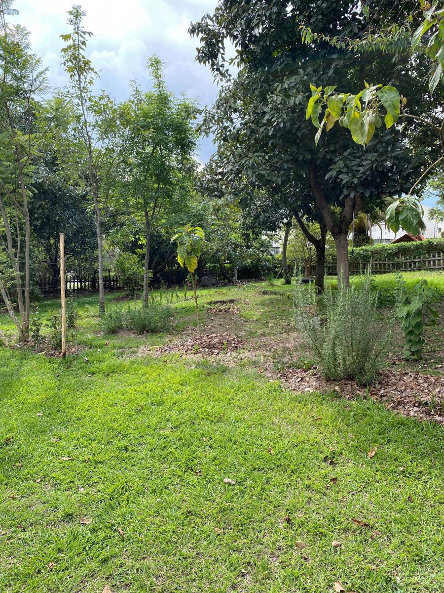 Hermoso Terreno Venta Cumbayá — imagen 3