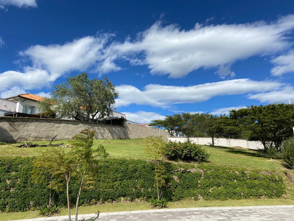 Muy Buen Terreno de Venta Dentro de Urbanización Cerrada en Tumbaco — imagen 10