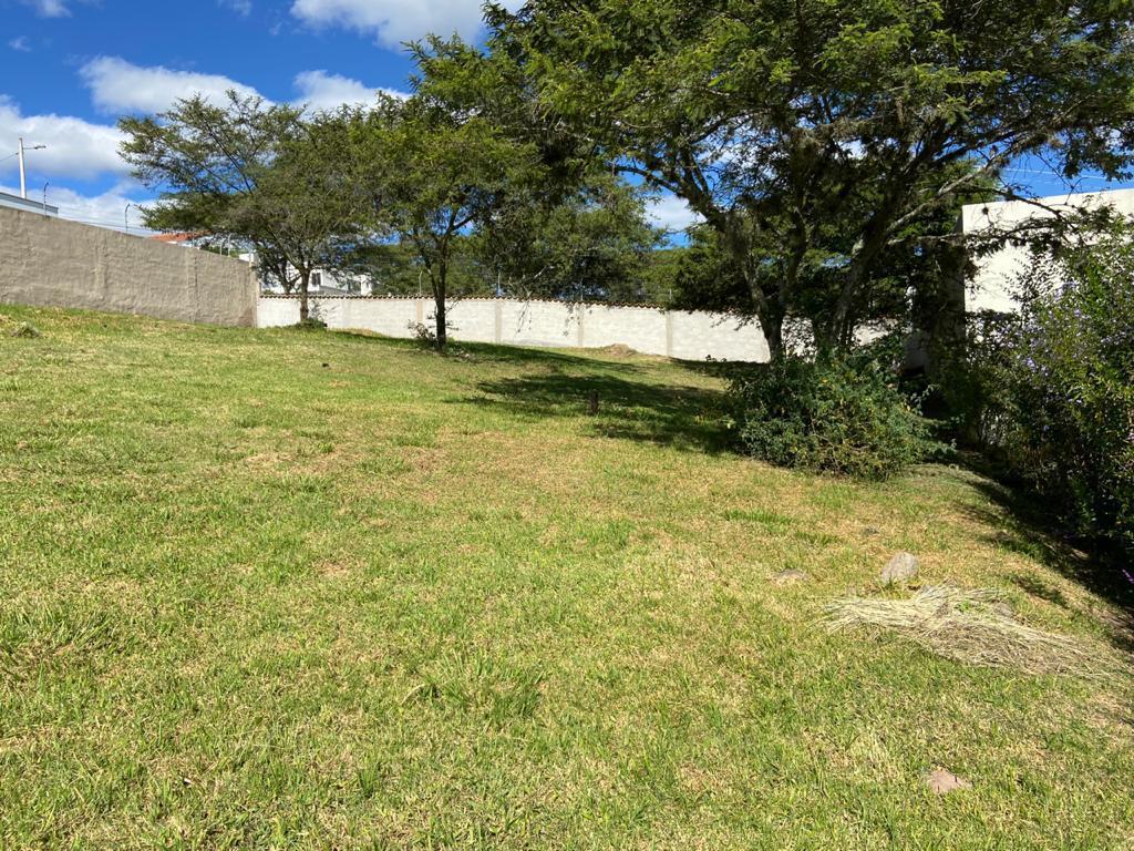 Muy Buen Terreno de Venta Dentro de Urbanización Cerrada en Tumbaco — imagen 9