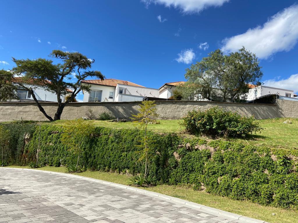 Muy Buen Terreno de Venta Dentro de Urbanización Cerrada en Tumbaco — imagen 6