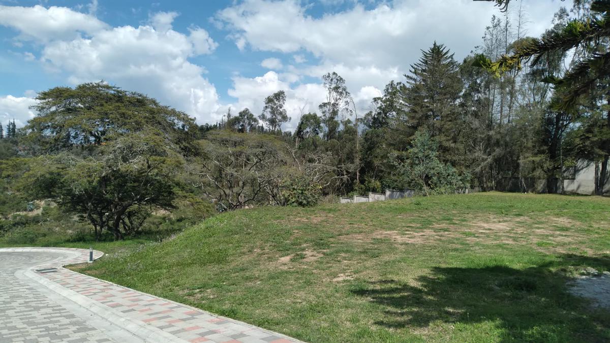 Muy Buen Terreno Ubicado en Urbanización Nueva en Puembo, Exclusividad — imagen 4