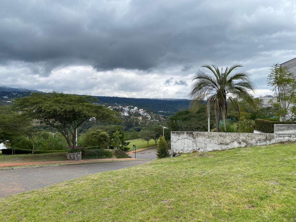 Hermoso Terreno en La Quinta (Oportunidad) — imagen 3
