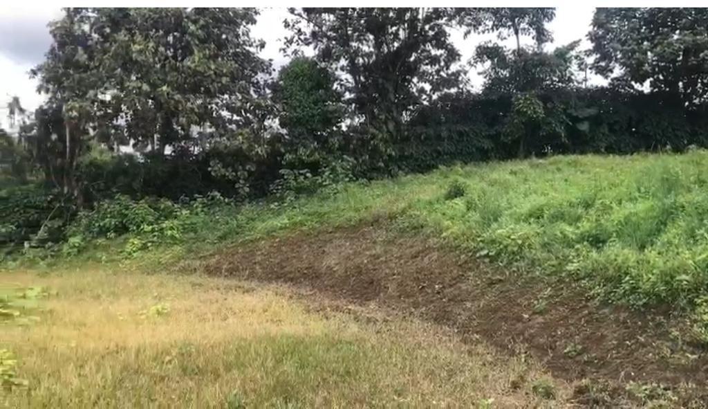 Terreno en Venta | 1.251 m² | Mapia | Pedro Vicente Maldonado — imagen 7