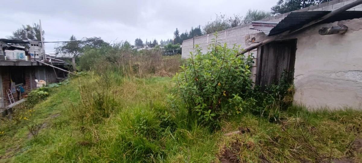Vendo Terreno de 362 m² en Checa — imagen 4