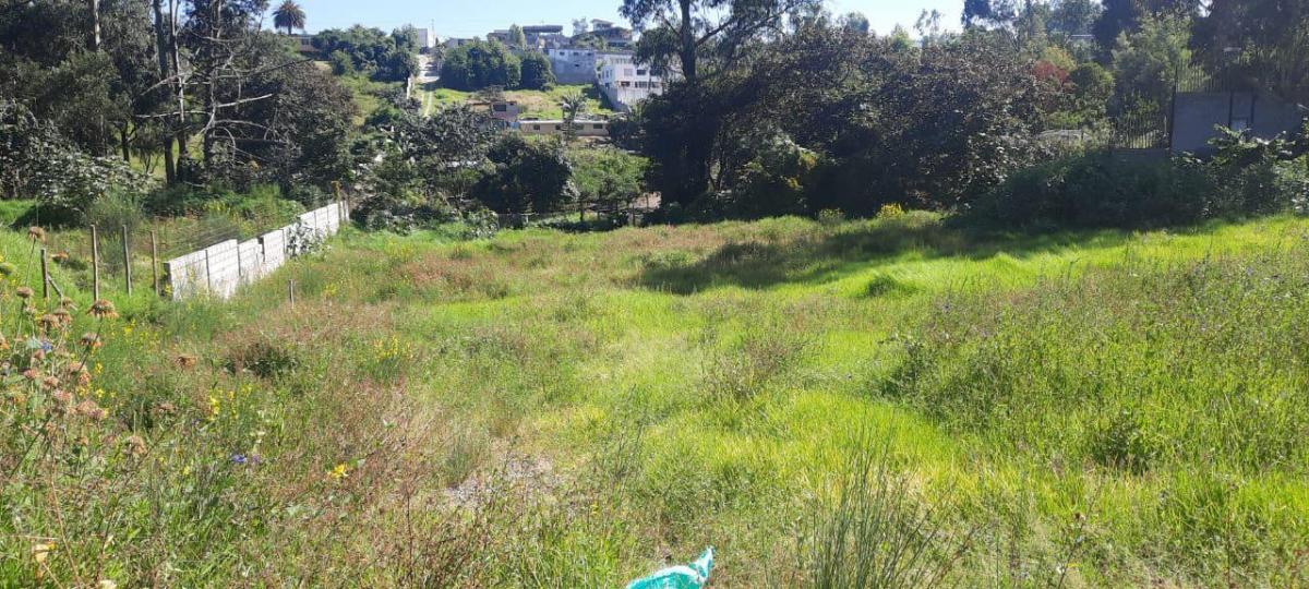 Jrs Hermoso Terreno de Venta Atencion Constructores. Oportunidad — imagen 10