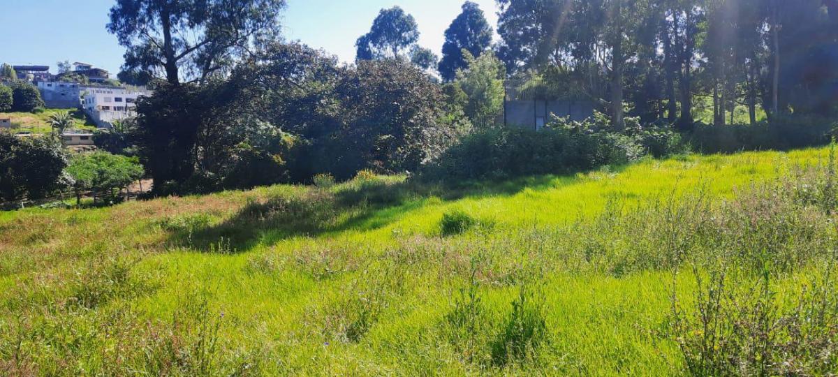 Jrs Hermoso Terreno de Venta Atencion Constructores. Oportunidad — imagen 8