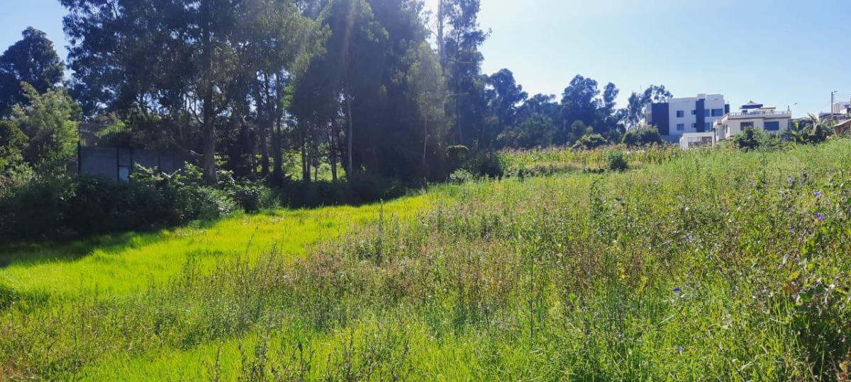 Jrs Hermoso Terreno de Venta Atencion Constructores. Oportunidad — imagen 6
