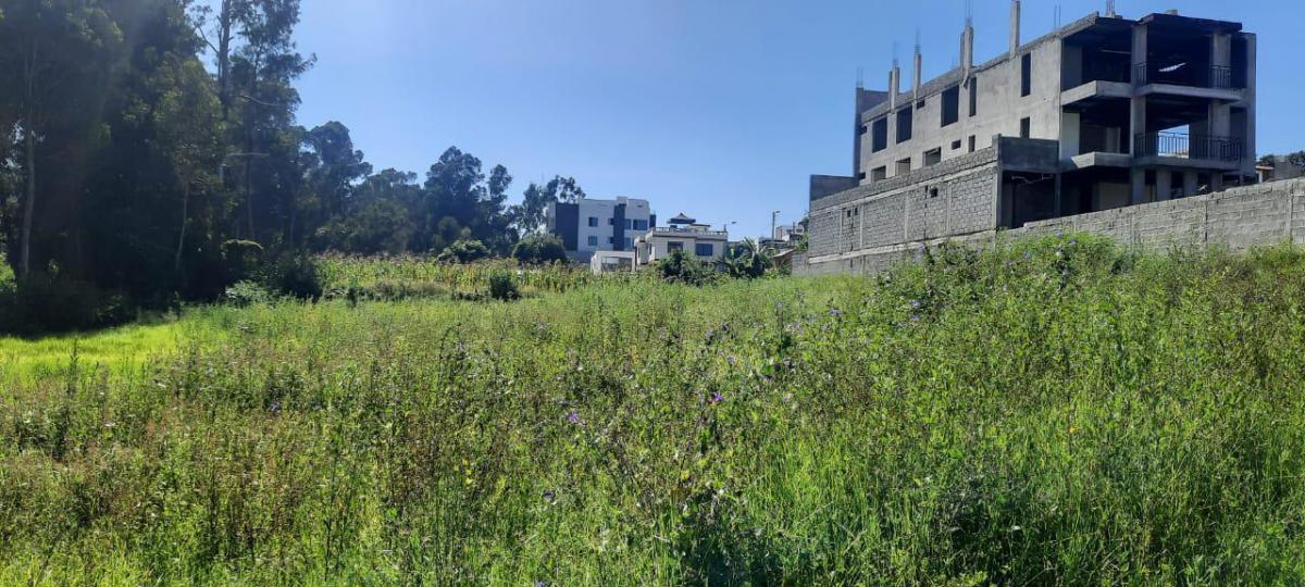 Jrs Hermoso Terreno de Venta Atencion Constructores. Oportunidad — imagen 4