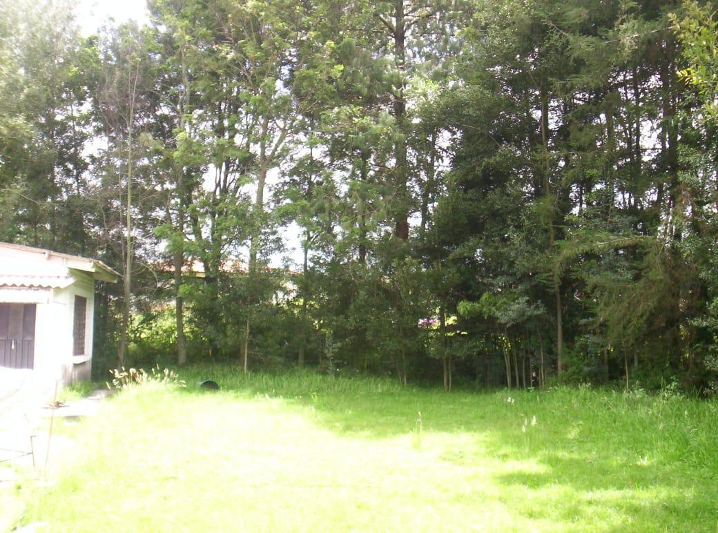 Vendo Armenia Terreno 5.479 m² y Casa 300 m² C. Valle de Los Chillos — imagen 10