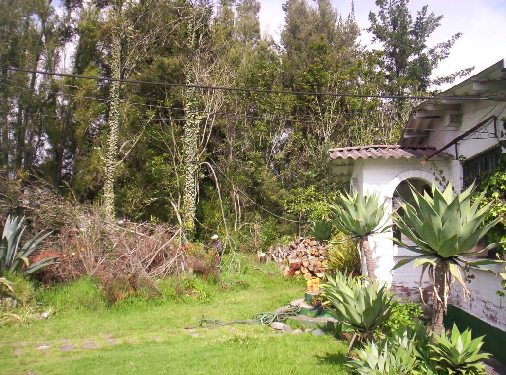 Vendo Armenia Terreno 5.479 m² y Casa 300 m² C. Valle de Los Chillos — imagen 9