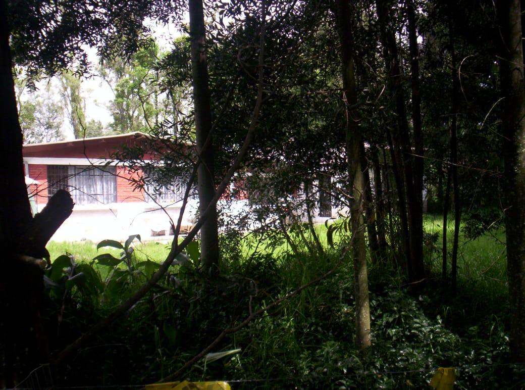 Vendo Armenia Terreno 5.479 m² y Casa 300 m² C. Valle de Los Chillos — imagen 8