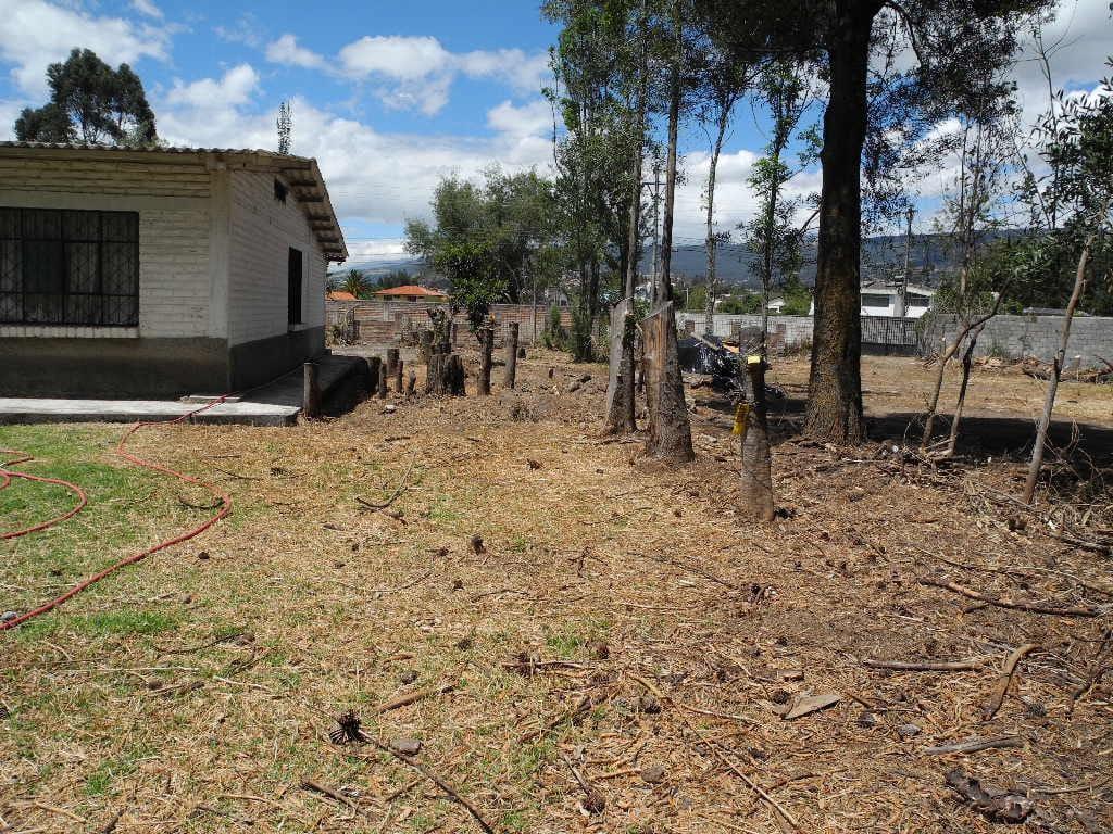 Vendo Armenia Terreno 5.479 m² y Casa 300 m² C. Valle de Los Chillos — imagen 6