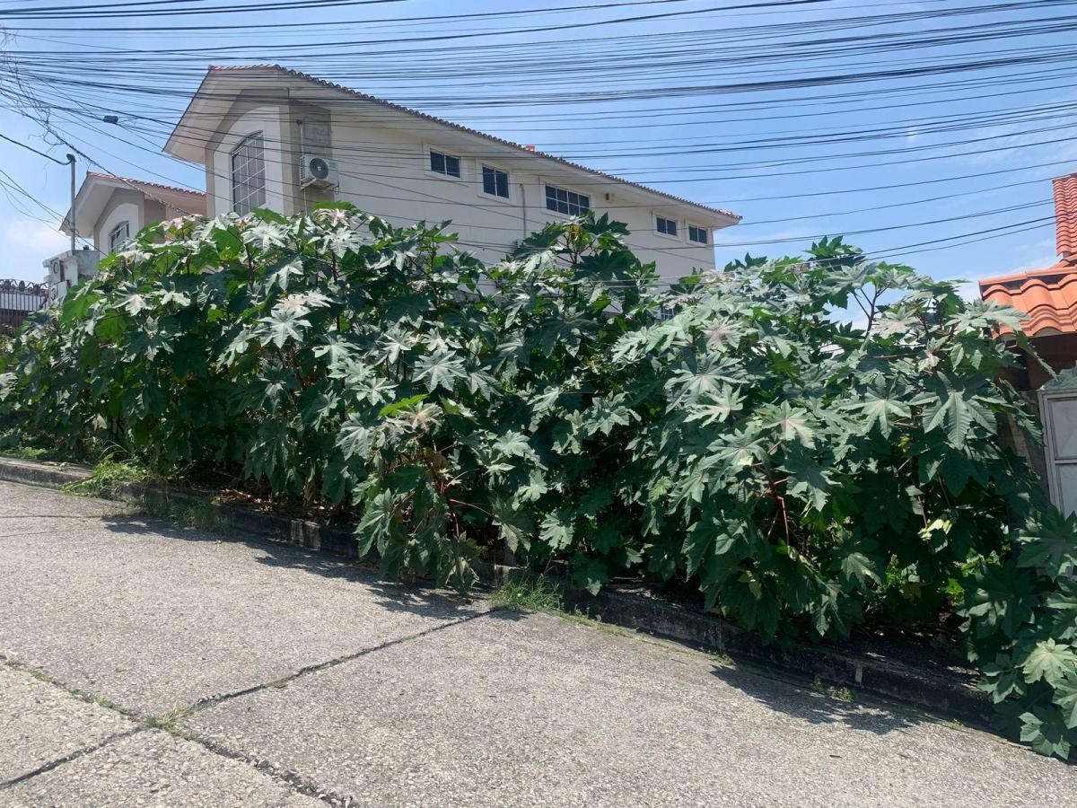 Venta de Terreno en Urbanizacion Ceibos Santa Cecilia 400 m² Negociable (Aq), Guayas — imagen 5