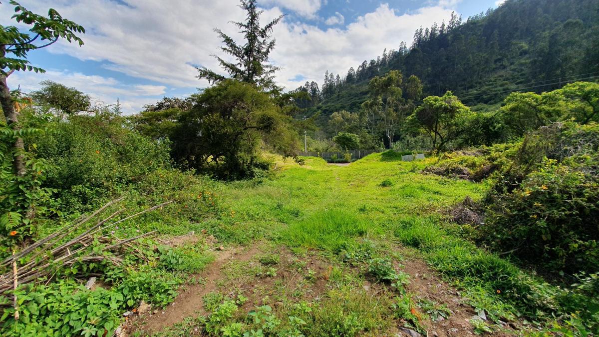 Se Vende Terreno en Tumbaco — imagen 9