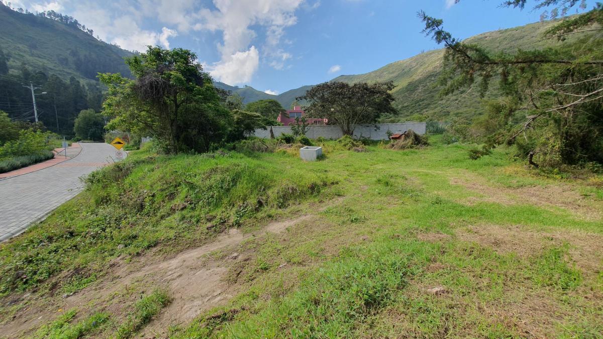 Se Vende Terreno en Tumbaco — imagen 8
