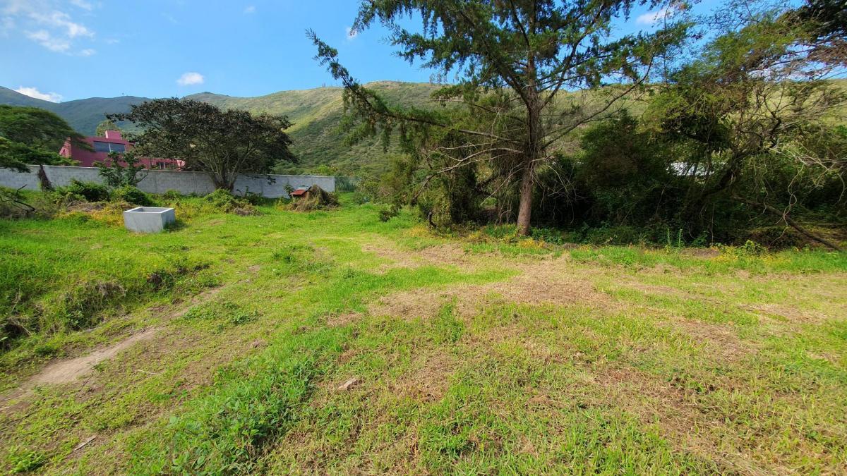 Se Vende Terreno en Tumbaco — imagen 7