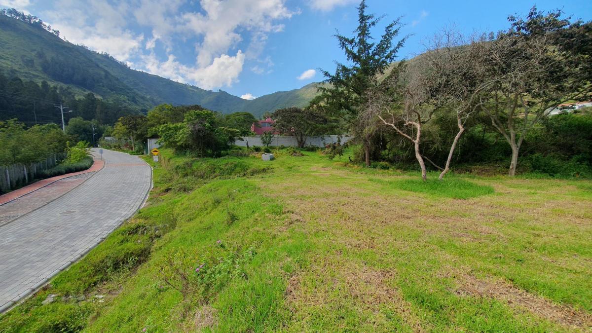 Se Vende Terreno en Tumbaco — imagen 6
