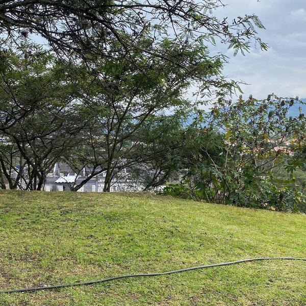 Precioso Terreno en Exclusiva Urbanización en Tumbaco 250.000usd! — imagen 10