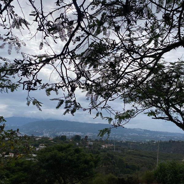 Precioso Terreno en Exclusiva Urbanización en Tumbaco 250.000usd! — imagen 9