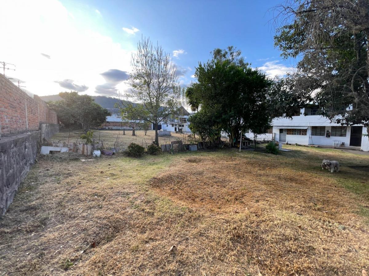 Terreno Esquinero Centro de Cumbayá 1350 m² — imagen 5