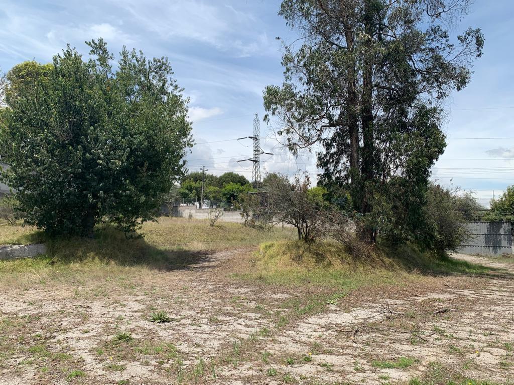 Terreno Comercial Esquinero de Venta Sector Eloy Alfaro — imagen 10