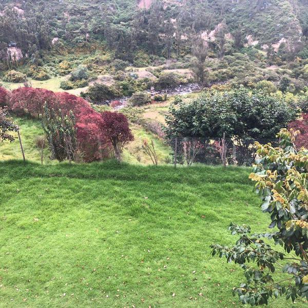 Vendo Terreno Intervalles — imagen 10