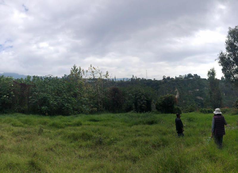Vendo Terreno Intervalles — imagen 9