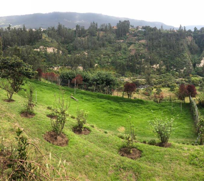 Vendo Terreno Intervalles — imagen 7