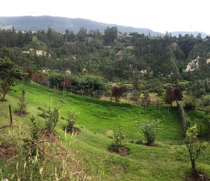 Vendo Terreno Intervalles — imagen 6