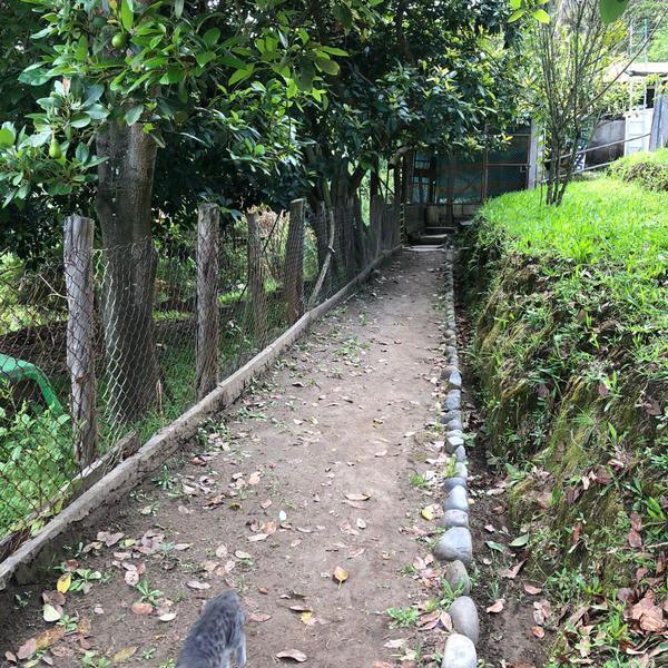 Vendo Terreno Intervalles — imagen 5