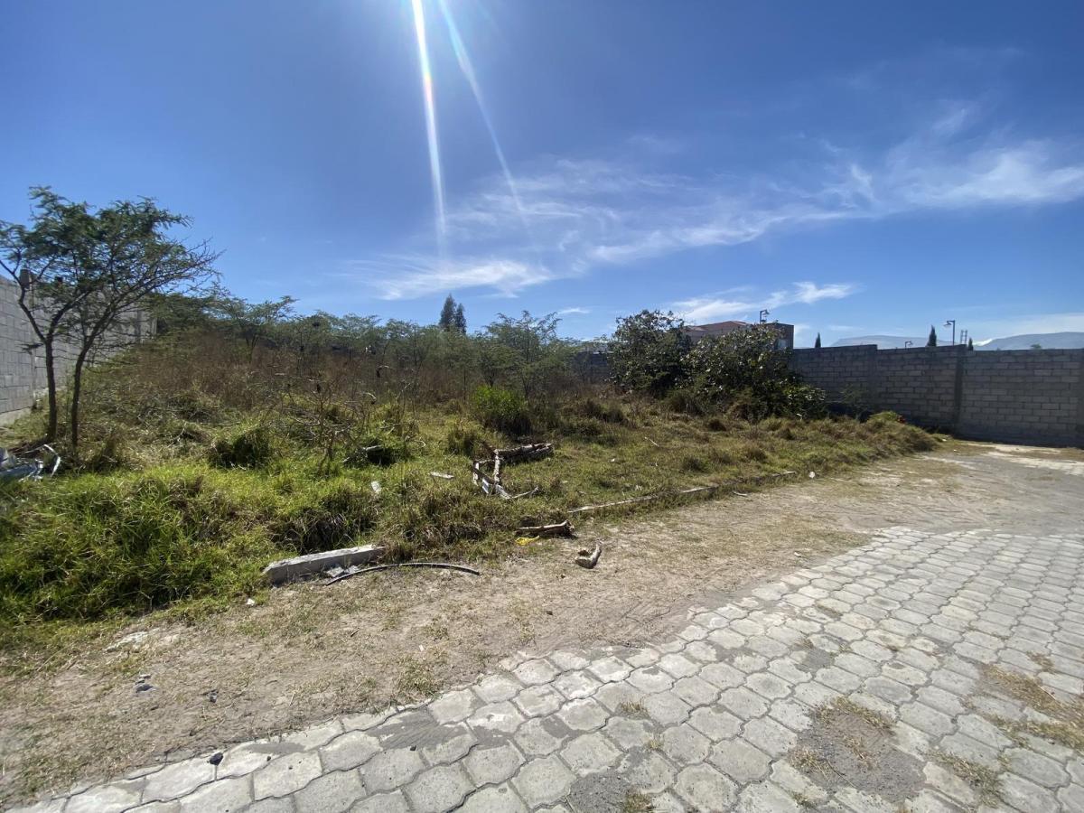 Terreno de Venta Dentro de Lotización en Collaquí. Vista — imagen 6